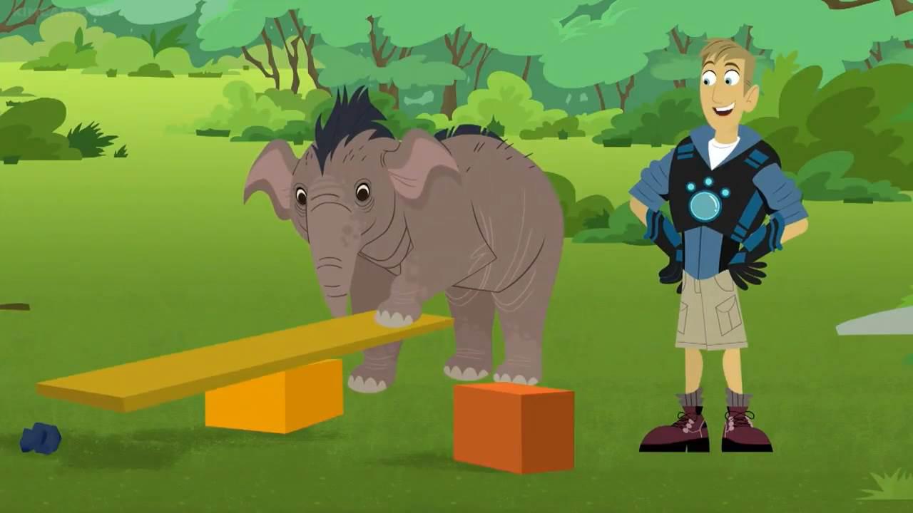 S05E08 - Elephant Brains!