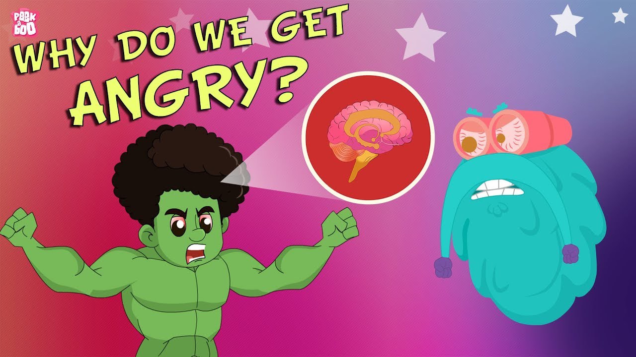 Why Do We Get Angry