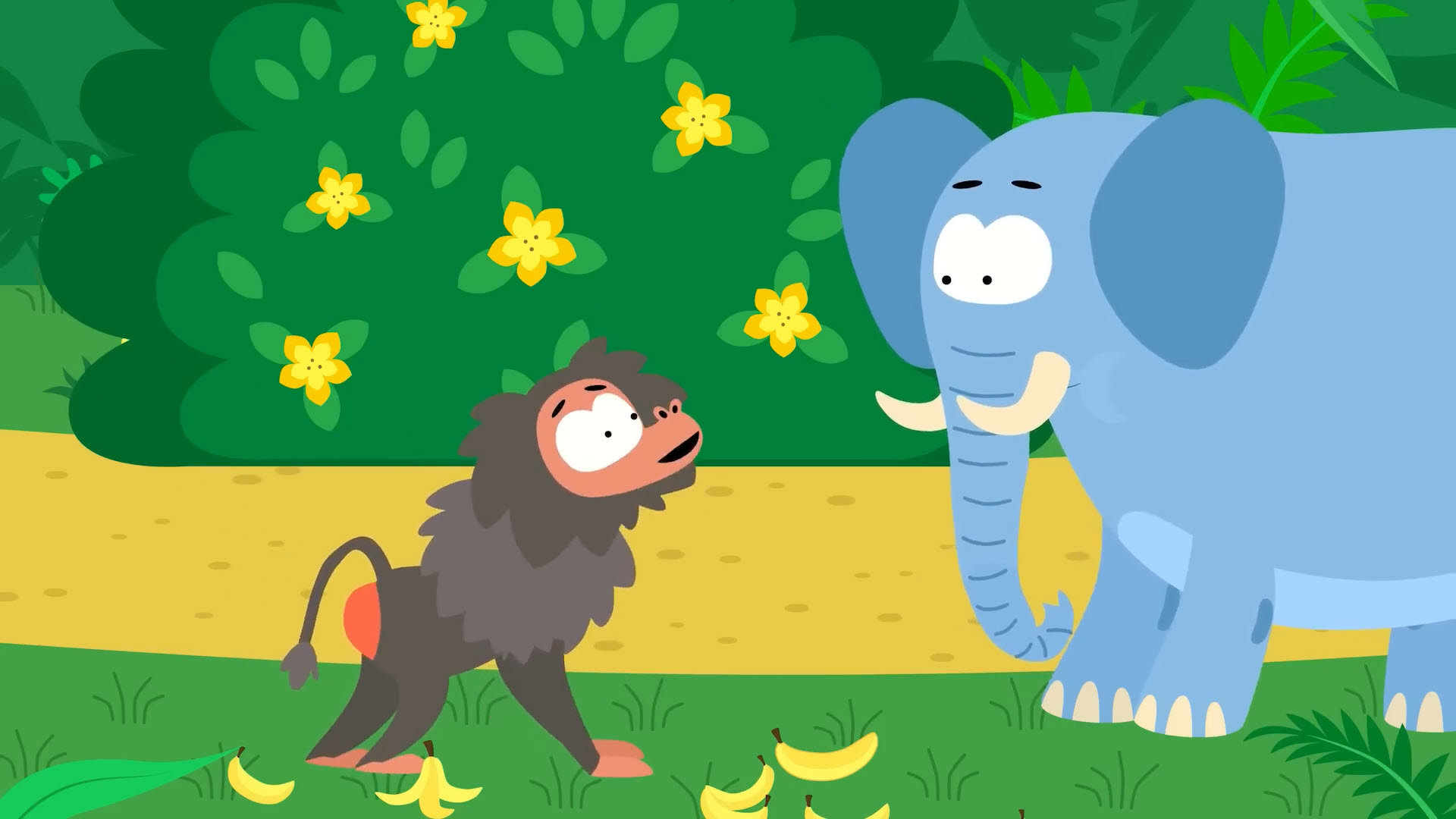 Baboon song
