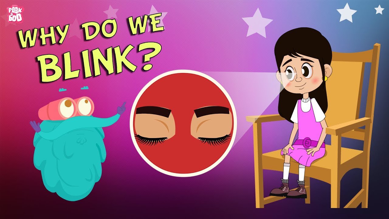 Why Do We Blink
