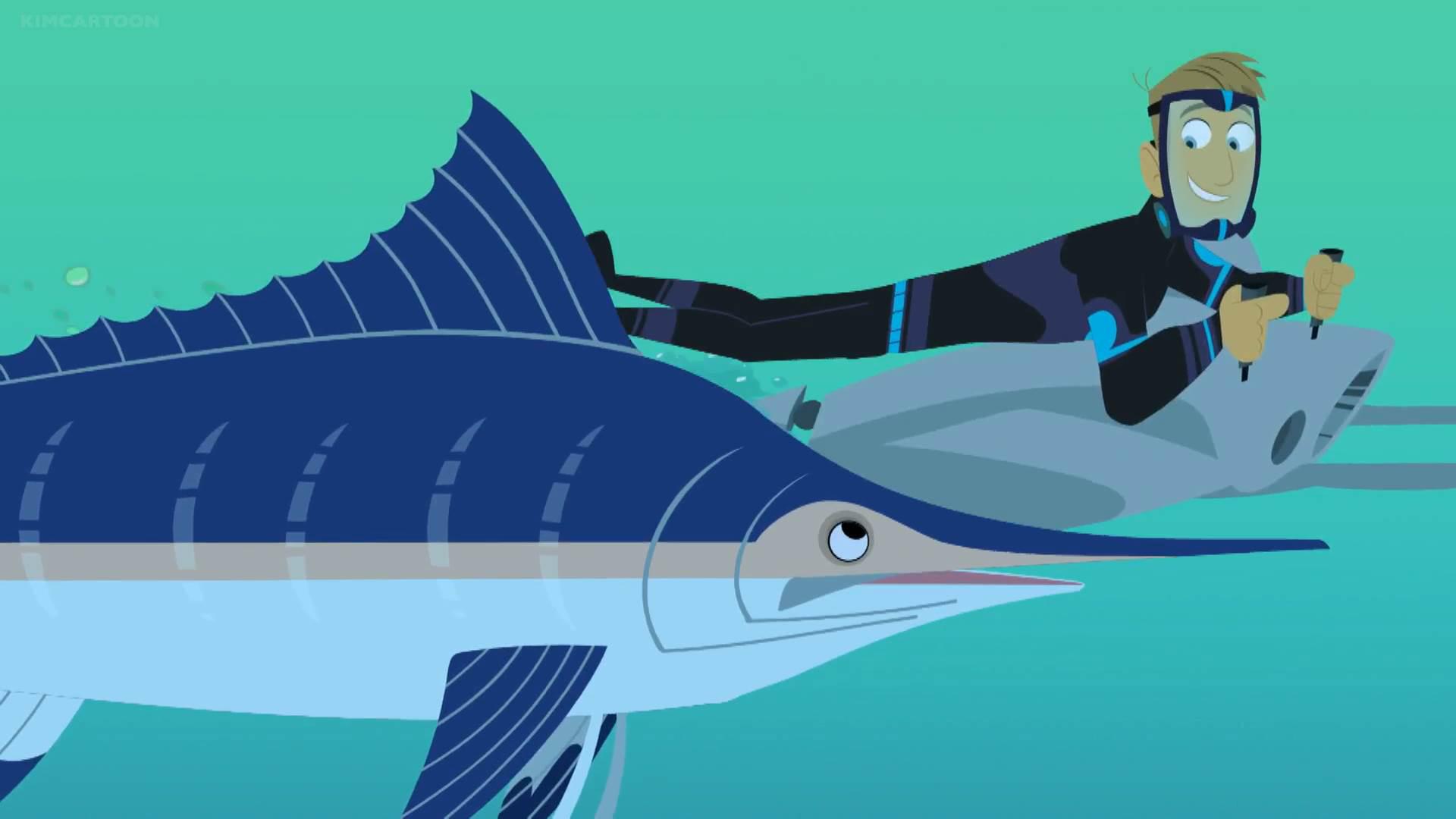 S05E12 - Choose Your Swordfish