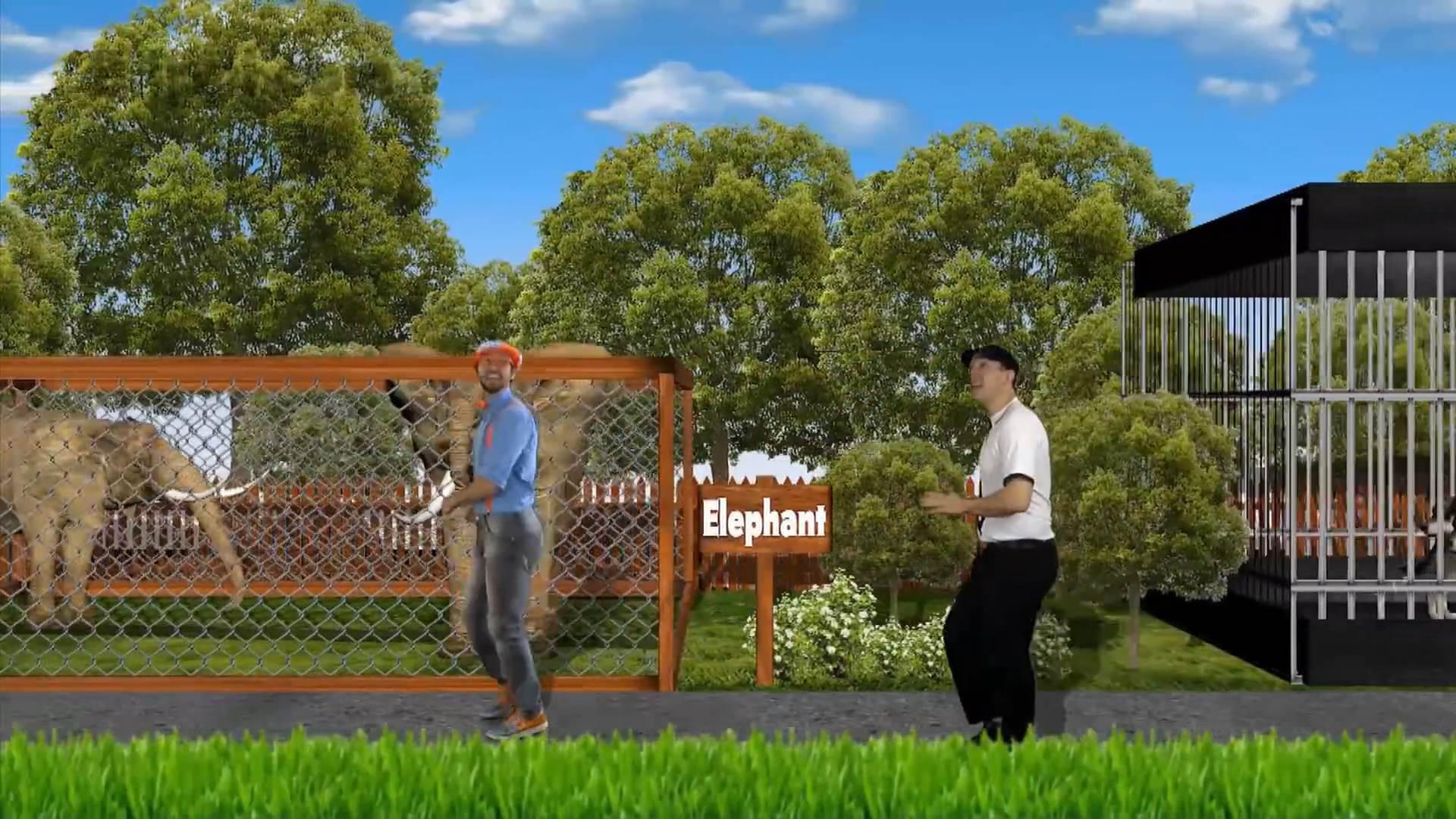 Zoo   