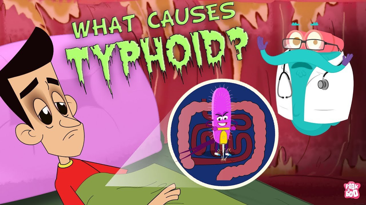 What Causes Typhoid