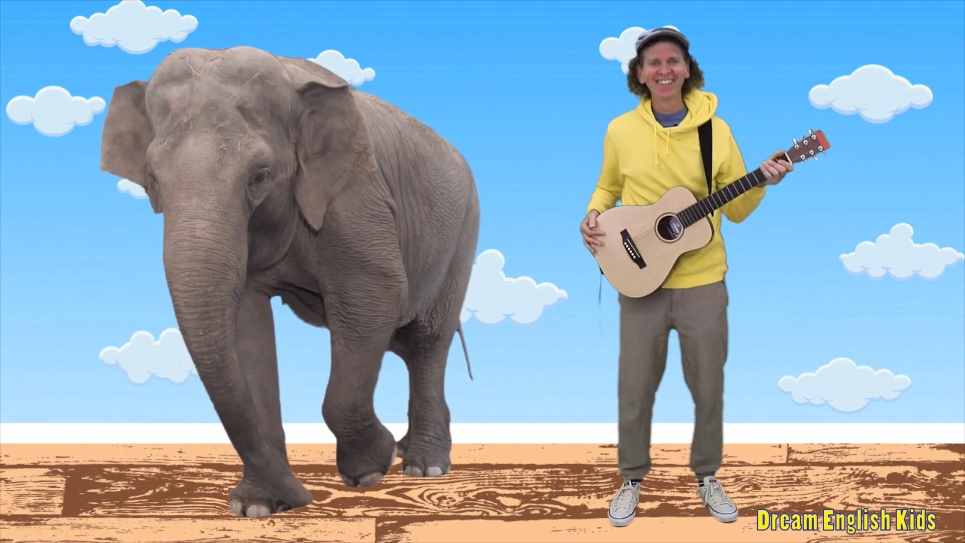 Let's Say Elephant
