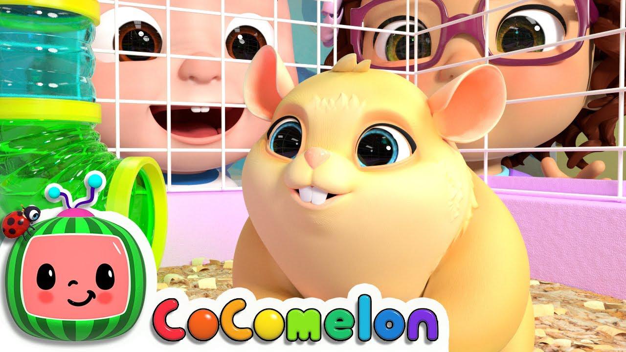 Class Pet Song