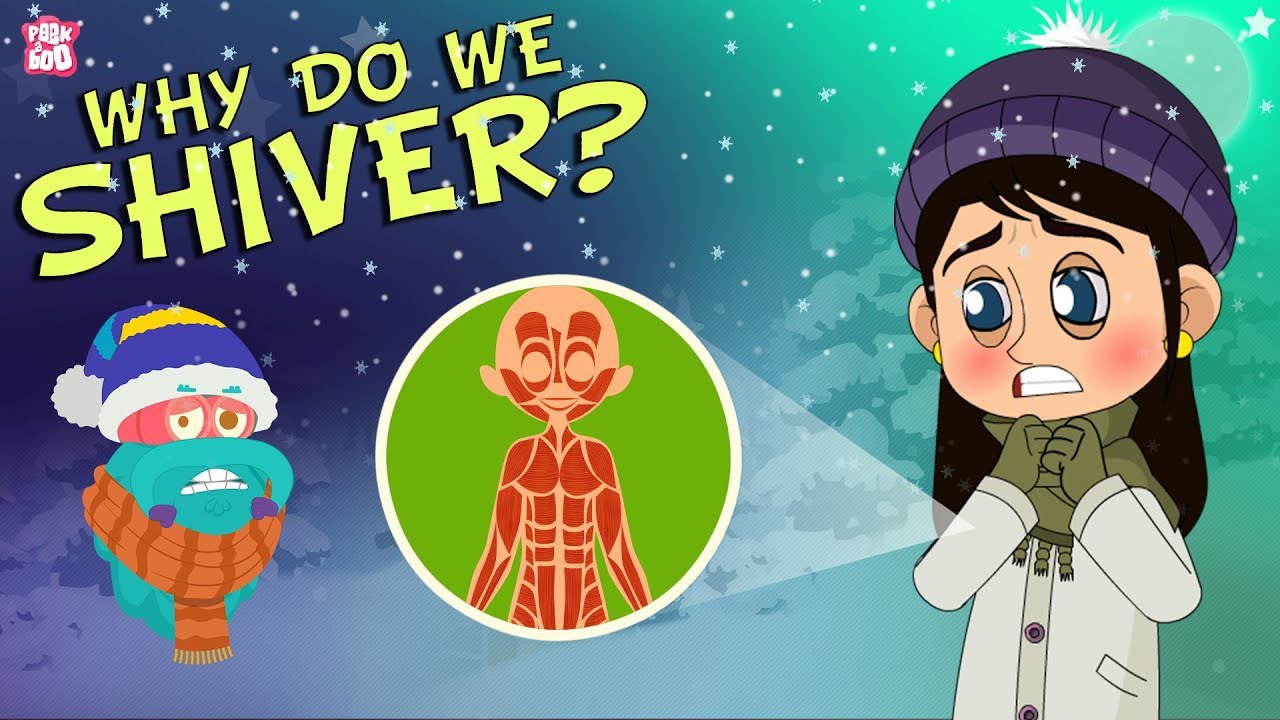 Why Do We Shiver