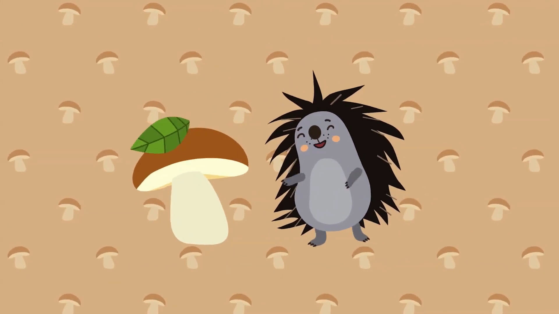 Baby Hedgehog