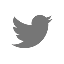 lingotoon twitter